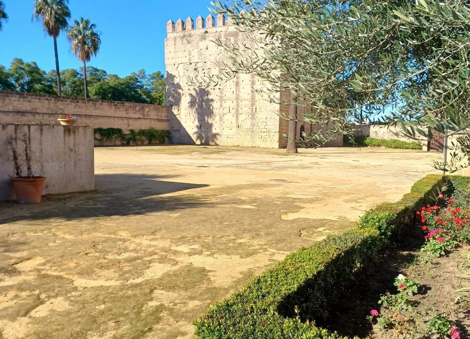 Homestay Habitacion Privada Jerez 1 Jerez de la Frontera Spain